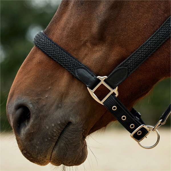 2026 Dublin Braided Leather Headcollar 1031532 - Black